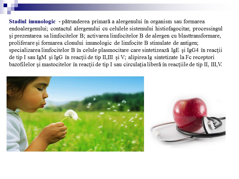 Stadiul imunologic - pătrunderea primară a alergenului în organism sau formarea endoalergenului; contactul alergenului